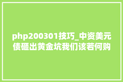 php200301技巧_中资美元债砸出黄金坑我们该若何购买