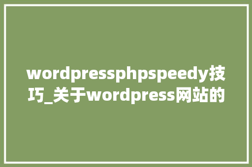 wordpressphpspeedy技巧_关于wordpress网站的优化小技巧