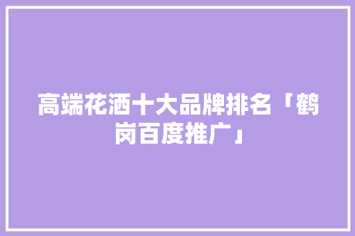 高端花洒十大品牌排名「鹤岗百度推广」