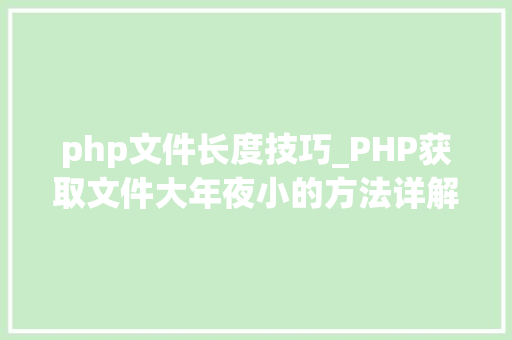 php文件长度技巧_PHP获取文件大年夜小的方法详解附视频