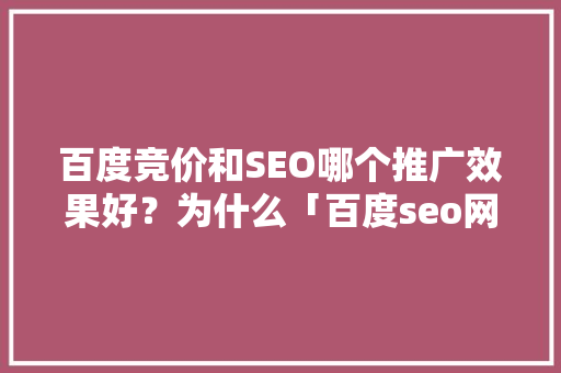 百度竞价和SEO哪个推广效果好？为什么「百度seo网站优化 网络服务」