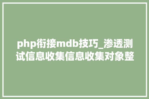 php衔接mdb技巧_渗透测试信息收集信息收集对象整理
