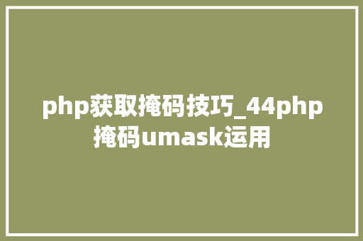 php获取掩码技巧_44php掩码umask运用