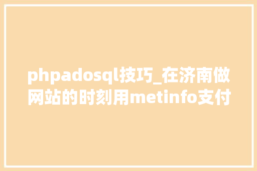 phpadosql技巧_在济南做网站的时刻用metinfo支付插件若何安装