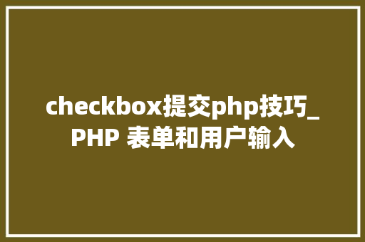 checkbox提交php技巧_PHP 表单和用户输入