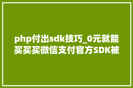 php付出sdk技巧_0元就能买买买微信支付官方SDK被曝严重马脚今朝还未修复