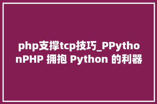 php支撑tcp技巧_PPythonPHP 拥抱 Python 的利器