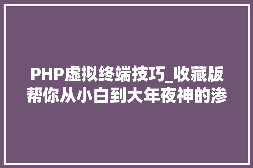 PHP虚拟终端技巧_收藏版帮你从小白到大年夜神的渗透测试对象箱