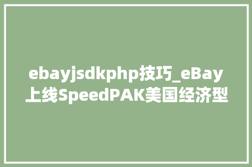ebayjsdkphp技巧_eBay上线SpeedPAK美国经济型轻小件物流筹划
