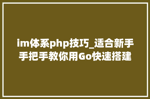 im体系php技巧_适合新手手把手教你用Go快速搭建高机能可扩展的IM系统