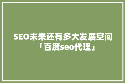 SEO未来还有多大发展空间「百度seo代理」