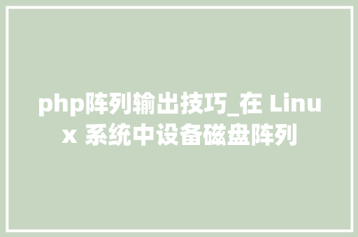 php阵列输出技巧_在 Linux 系统中设备磁盘阵列