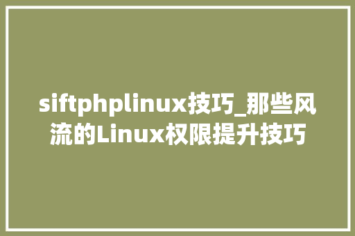 siftphplinux技巧_那些风流的Linux权限提升技巧
