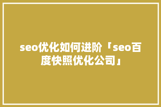 seo优化如何进阶「seo百度快照优化公司」