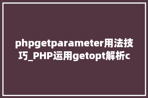phpgetparameter用法技巧_PHP运用getopt解析cli参数
