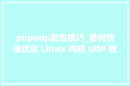 phpudp发包技巧_若何快速优化 Linux 内核 UDP 收包效率 CSDN 博文精选