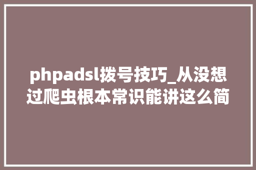 phpadsl拨号技巧_从没想过爬虫根本常识能讲这么简单  Python收集爬虫实战
