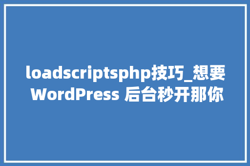 loadscriptsphp技巧_想要 WordPress 后台秒开那你一定要试试这个插件