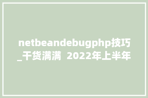 netbeandebugphp技巧_干货满满  2022年上半年信息系统项目治理师考点梳理完整版