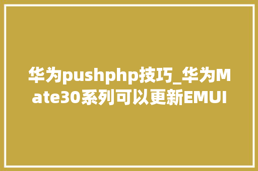 华为pushphp技巧_华为Mate30系列可以更新EMUI101了没收到推送的可以这样操作