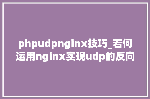 phpudpnginx技巧_若何运用nginx实现udp的反向代理