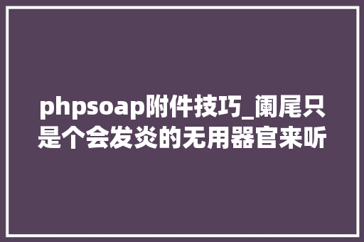 phpsoap附件技巧_阑尾只是个会发炎的无用器官来听阑尾的告白