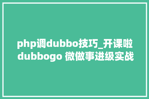php调dubbo技巧_开课啦 dubbogo 微做事进级实战
