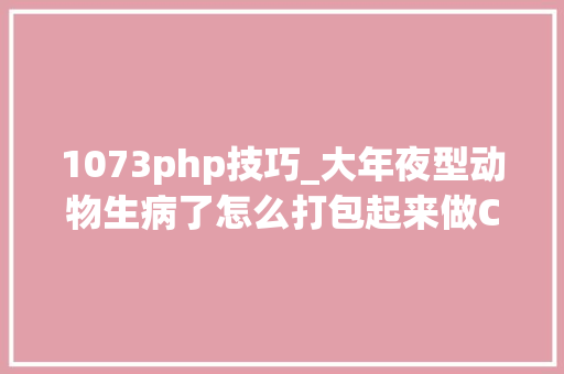 1073php技巧_大年夜型动物生病了怎么打包起来做CT最后那个也太曲折了哈哈