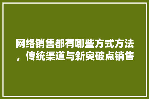网络销售都有哪些方式方法，传统渠道与新突破点销售方法有什么不同「石家庄关键词优化软件」