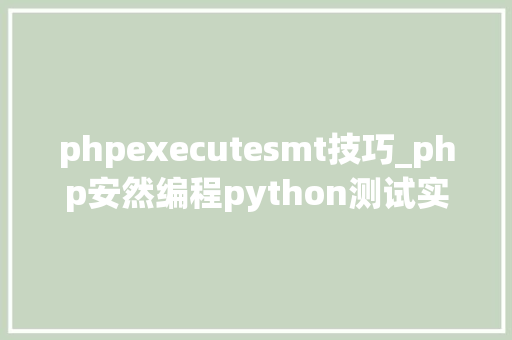 phpexecutesmt技巧_php安然编程python测试实例编写