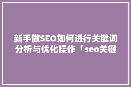新手做SEO如何进行关键词分析与优化操作「seo关键词优化案例有哪些」