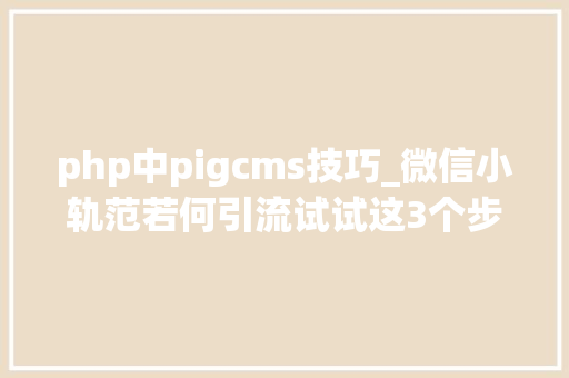 php中pigcms技巧_微信小轨范若何引流试试这3个步骤小轨范的4种赚钱流派