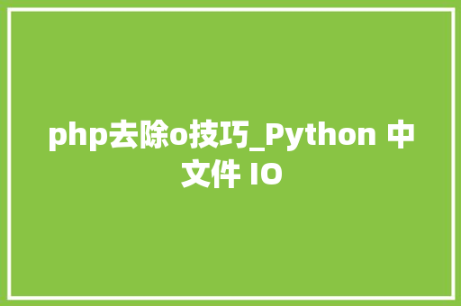 php去除o技巧_Python 中文件 IO