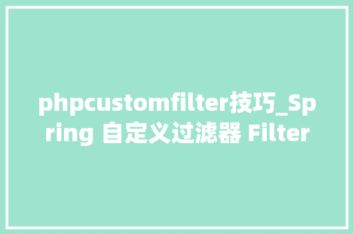 phpcustomfilter技巧_Spring 自定义过滤器 Filter 注解