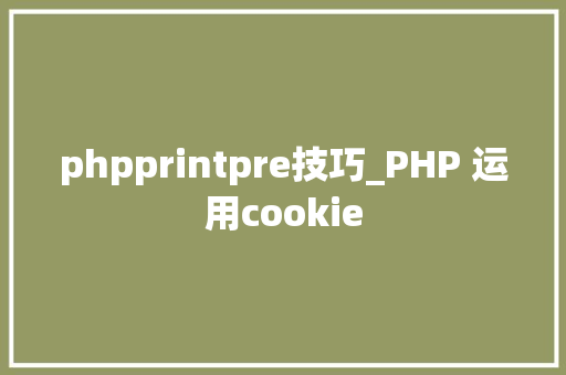 phpprintpre技巧_PHP 运用cookie