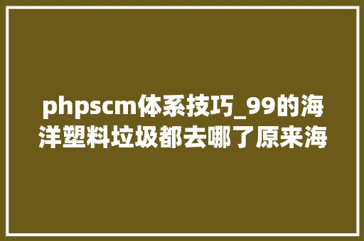 phpscm体系技巧_99的海洋塑料垃圾都去哪了原来海底有个垃圾场