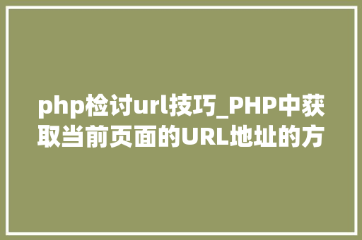 php检讨url技巧_PHP中获取当前页面的URL地址的方法