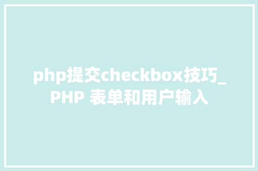 php提交checkbox技巧_PHP 表单和用户输入