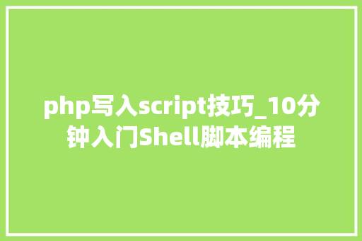 php写入script技巧_10分钟入门Shell脚本编程