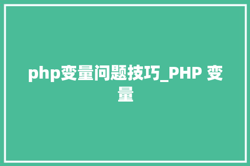 php变量问题技巧_PHP 变量