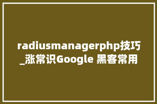 radiusmanagerphp技巧_涨常识Google 黑客常用搜索语句一览  原力计划