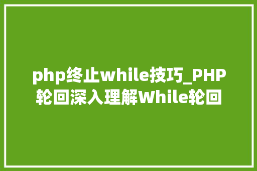 php终止while技巧_PHP轮回深入理解While轮回