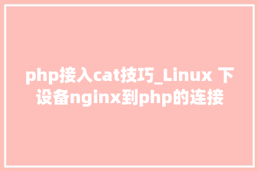 php接入cat技巧_Linux 下设备nginx到php的连接