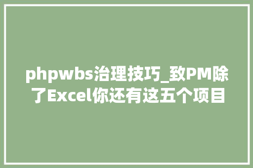phpwbs治理技巧_致PM除了Excel你还有这五个项目治理软件可以用