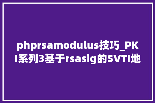 phprsamodulus技巧_PKI系列3基于rsasig的SVTI地道IPSEC