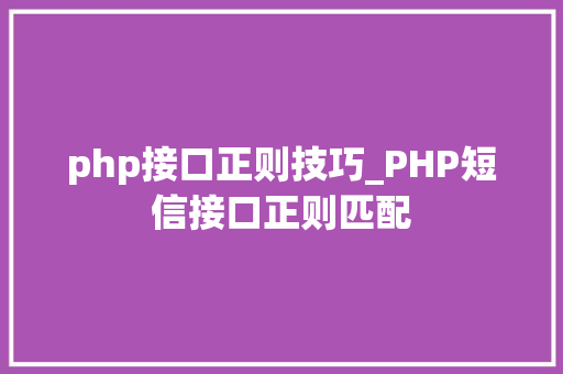 php接口正则技巧_PHP短信接口正则匹配