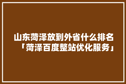 山东菏泽放到外省什么排名「菏泽百度整站优化服务」