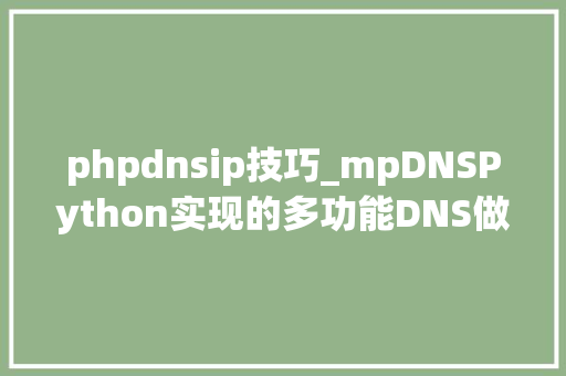 phpdnsip技巧_mpDNSPython实现的多功能DNS做事器