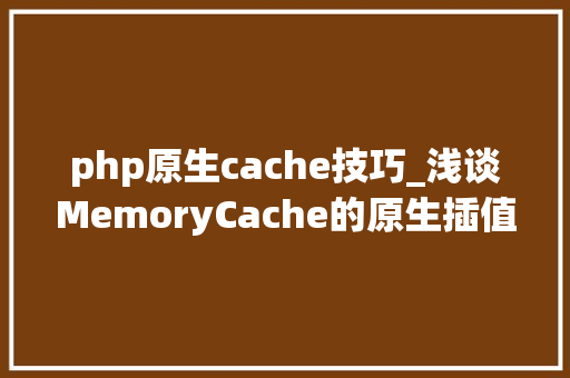 php原生cache技巧_浅谈MemoryCache的原生插值办法