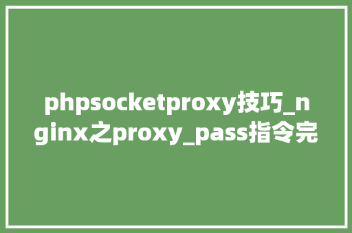 phpsocketproxy技巧_nginx之proxy_pass指令完全拆解